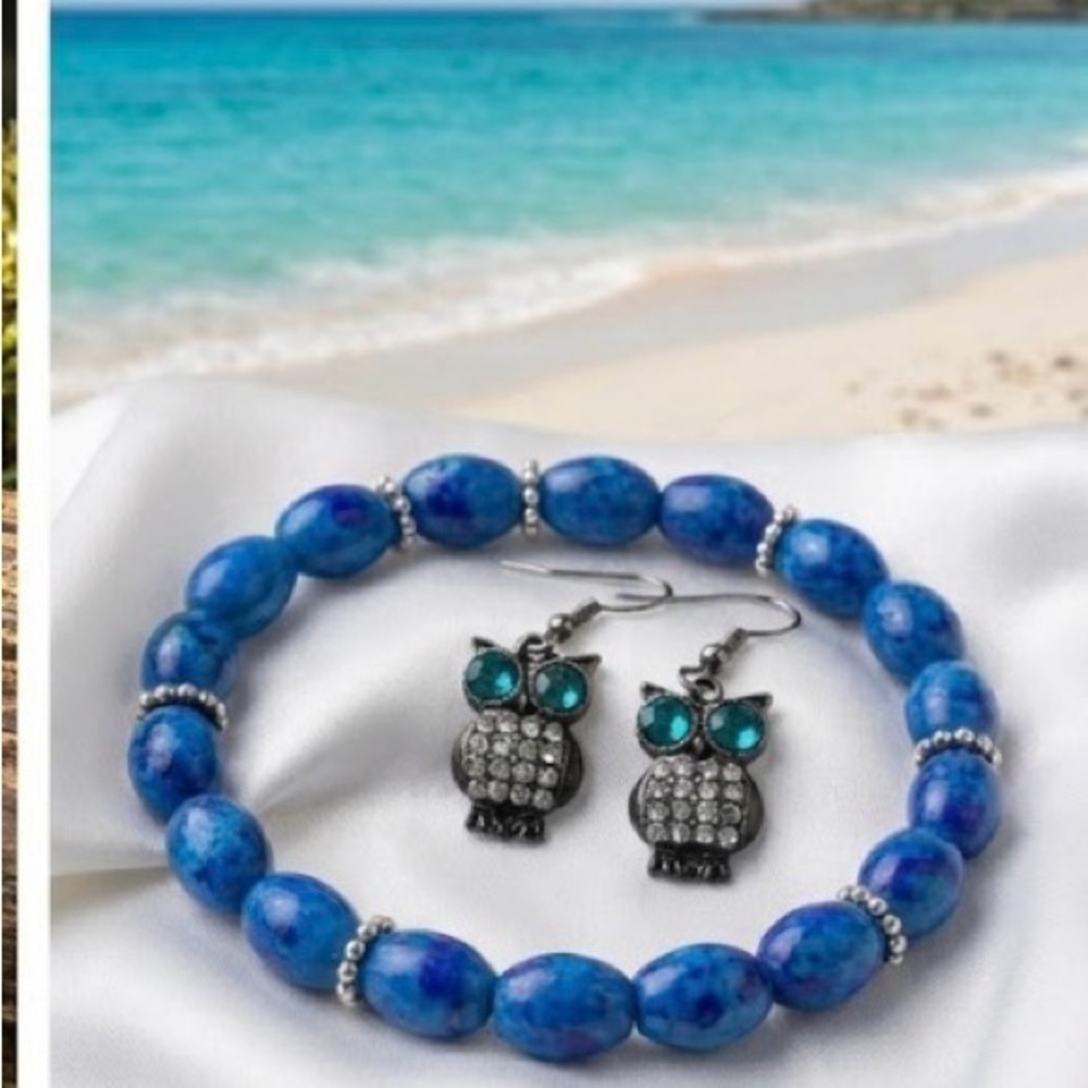 Blue Owl Bracelet and Earring Set
